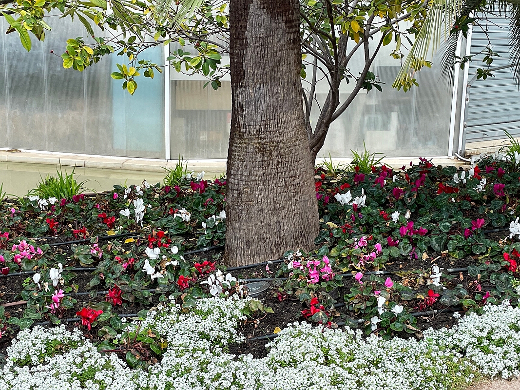 IMG_1878
