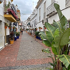 IMG_1861