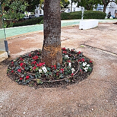 Imagen de WhatsApp 2025-04-07 a las 12.07.20_b172eb1a