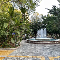 IMG_1958