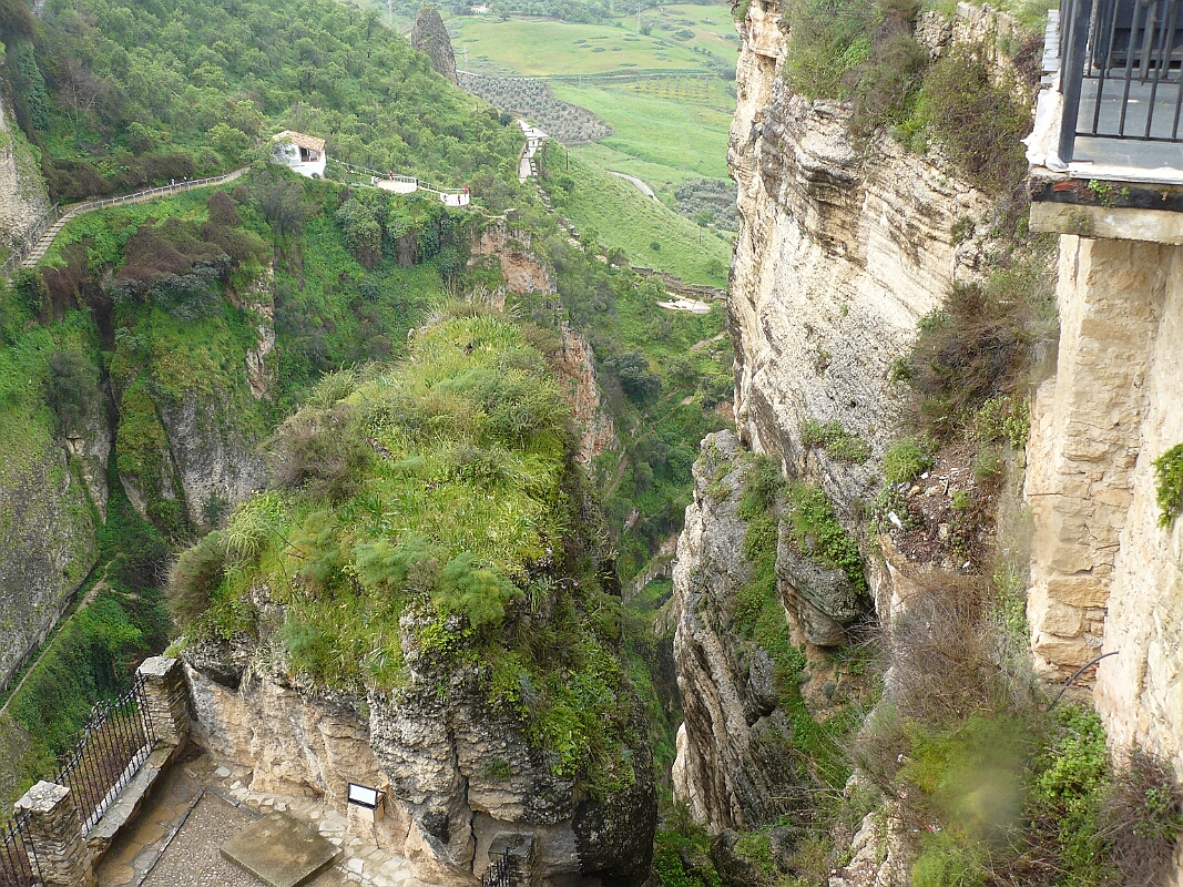 P1090035