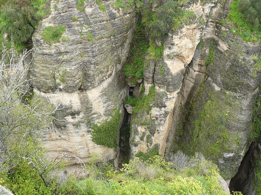 P1090050