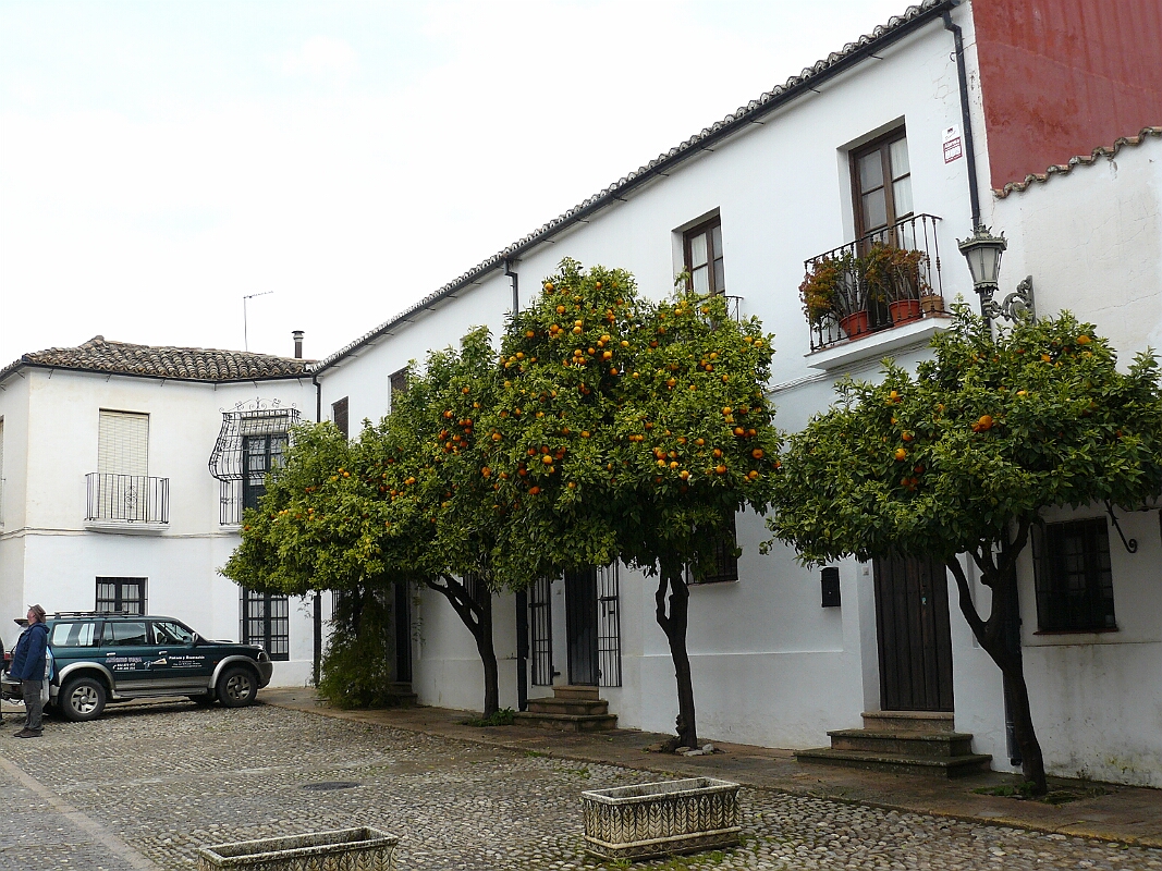P1090079