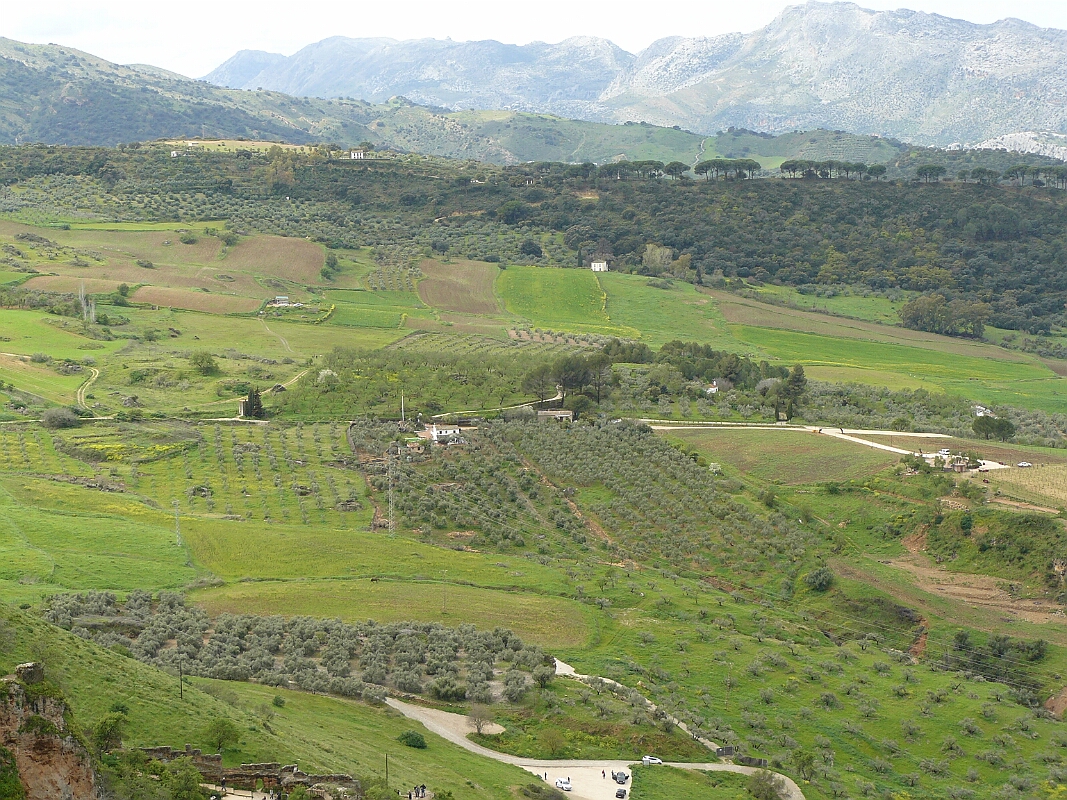 P1090087