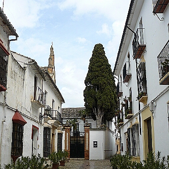 P1090067