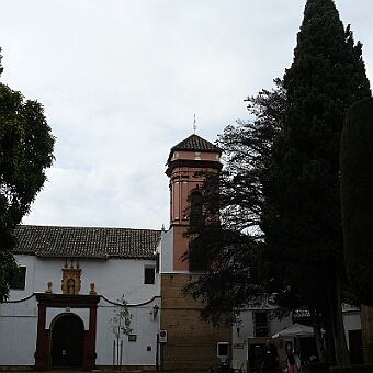 P1090077