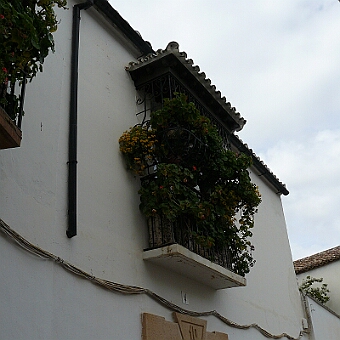 P1090078