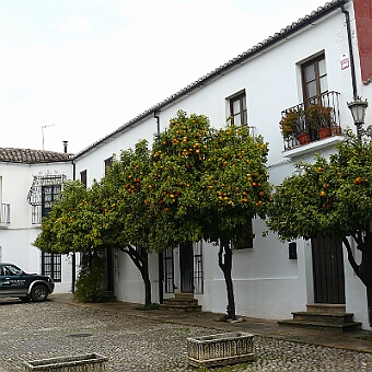 P1090079