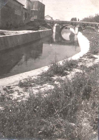 Arboleda del r&iacute;o Ri&aacute;nsares