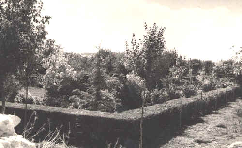 Construcci&oacute;n del parque