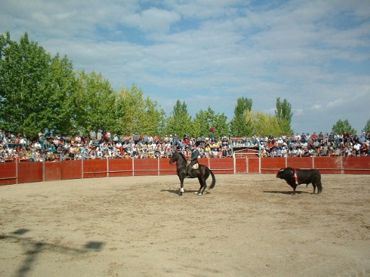 muela2004-68