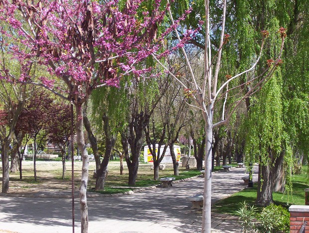 Parque
