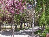 Parque municipal