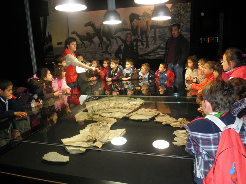 MuseoCiencias1Ciclo_114