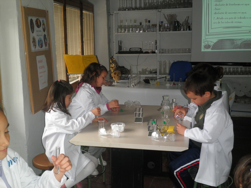 MuseoCiencias1Ciclo_087