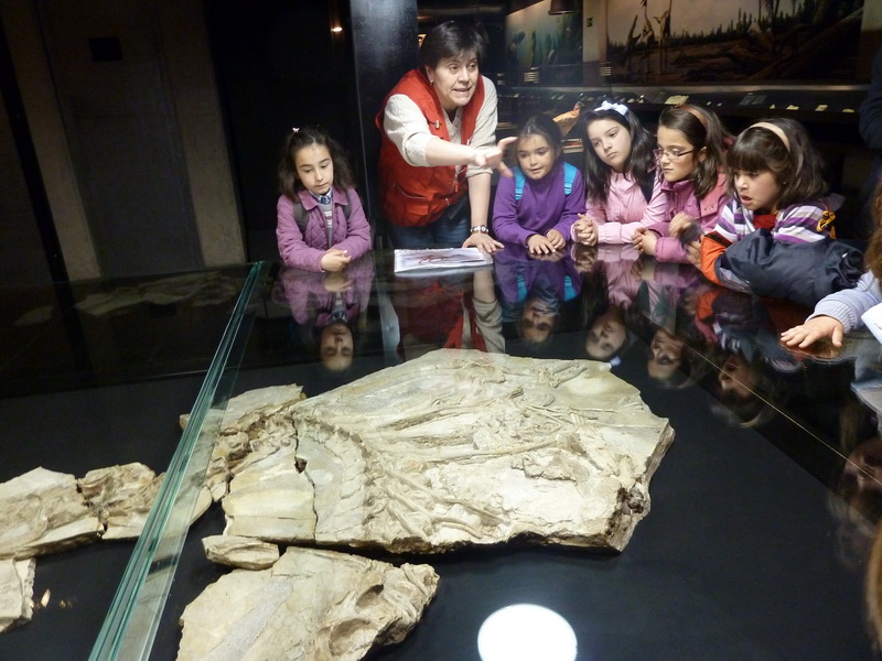 MuseoCiencias1Ciclo_051