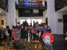 MuseoCiencias1Ciclo_081