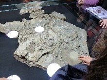 MuseoCiencias1Ciclo_052