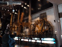 MuseoCiencias1Ciclo_048