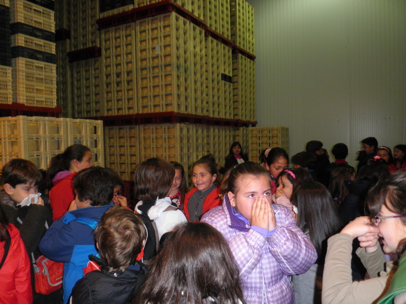 2012visitasquesos_54