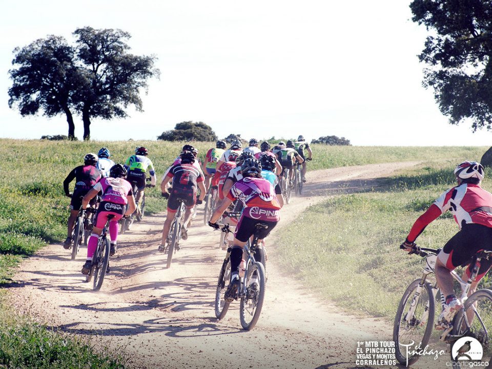 947036_10152773188460580_2118385104_n