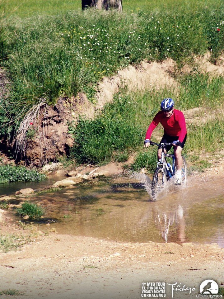 946474_10152773206990580_750942019_n