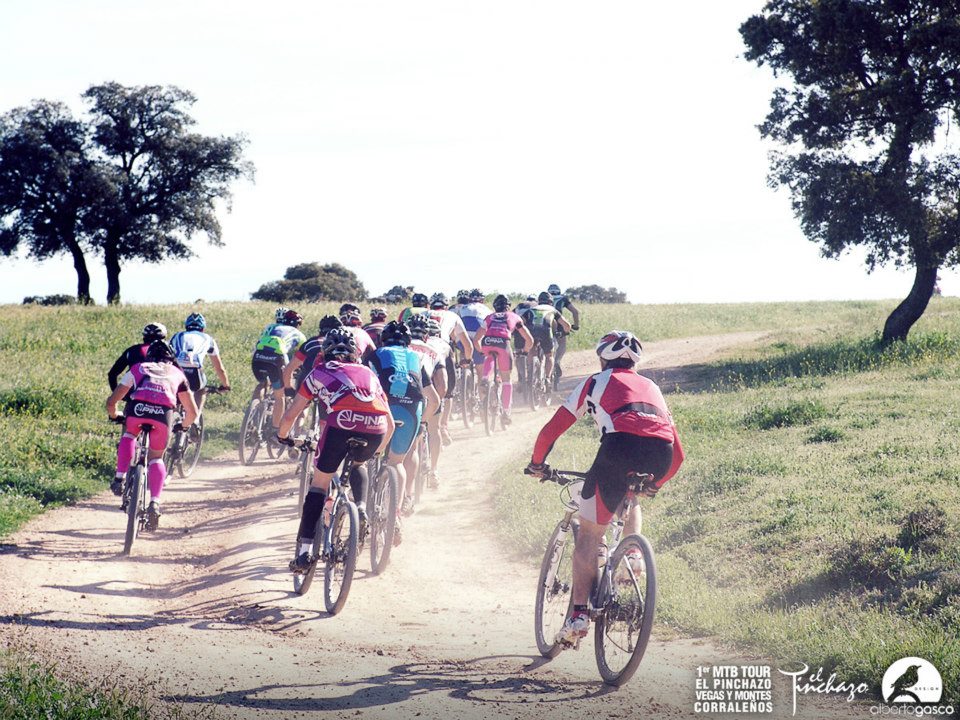 945579_10152773188300580_177776289_n