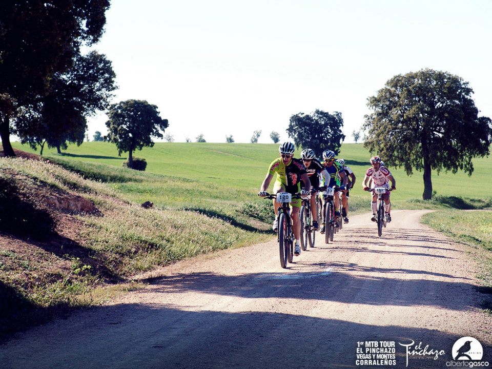 944876_10152773188550580_1090791125_n