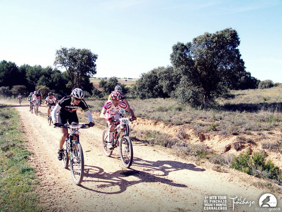 943562_10152773203180580_207129058_n