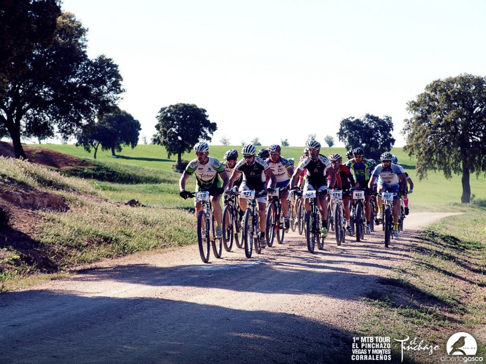 935629_10152773187900580_1088718920_n