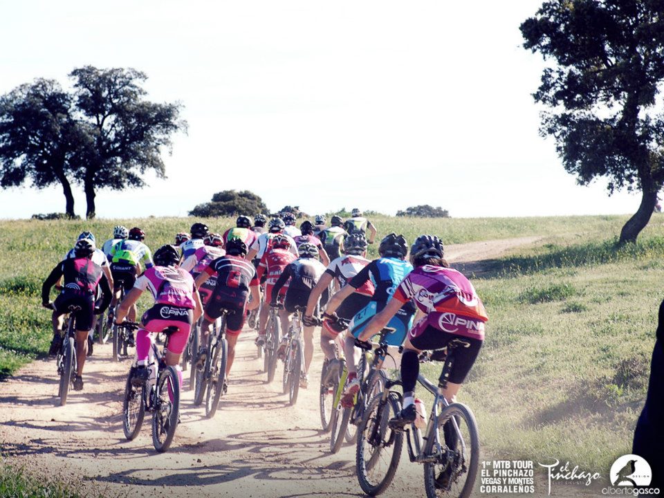 934681_10152773187850580_1033061237_n