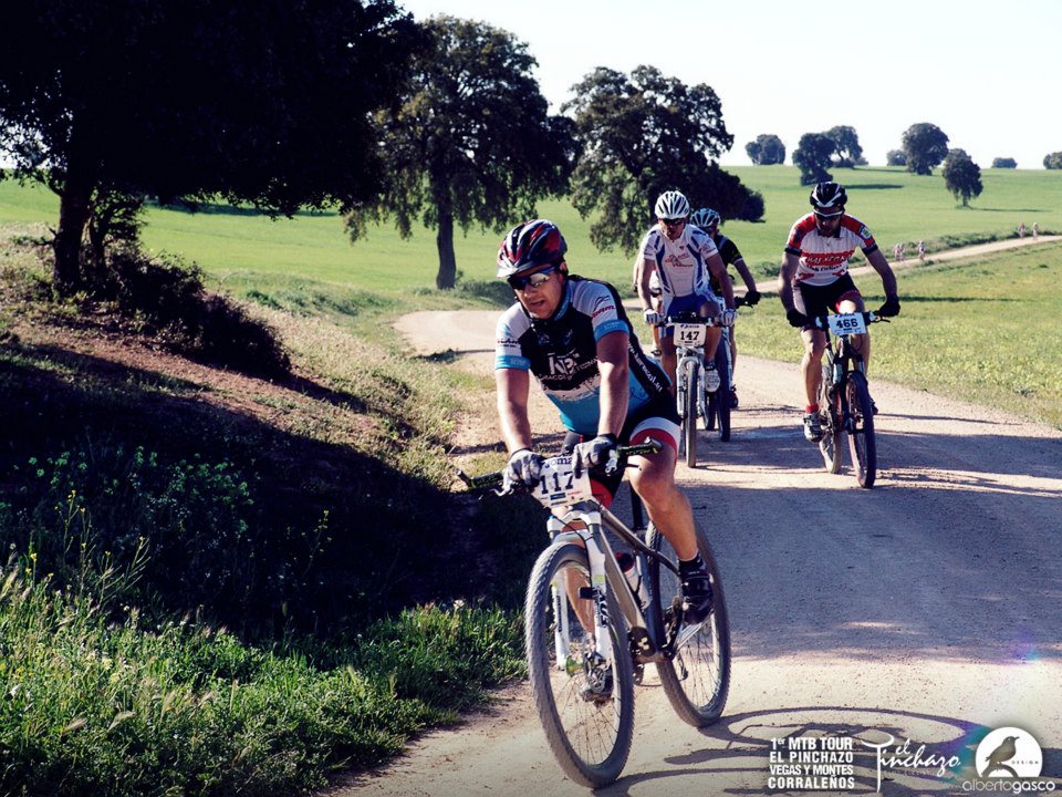 255684_10152773190935580_1802549004_n