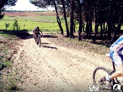 946560_10152773205485580_1507979992_n