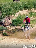 946474_10152773206990580_750942019_n