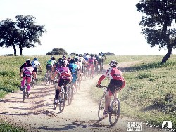 945579_10152773188300580_177776289_n