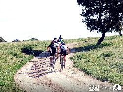 945212_10152773189545580_1273241853_n