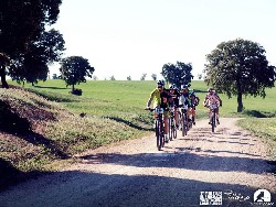 944876_10152773188550580_1090791125_n