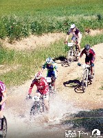 944274_10152773211220580_1044538074_n