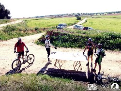 941138_10152773206545580_714679448_n