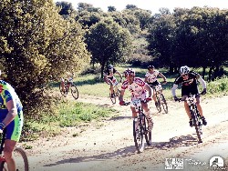 940883_10152773192965580_1397639888_n