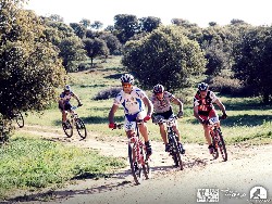 940862_10152773195425580_838178747_n