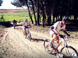 940837_10152773204905580_2049817223_n