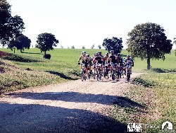 919552_10152773187495580_952175523_o