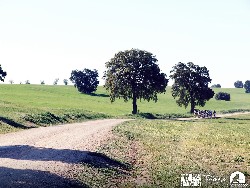 905367_10152773187090580_1316452565_o