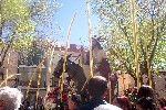 Domingo de Ramos