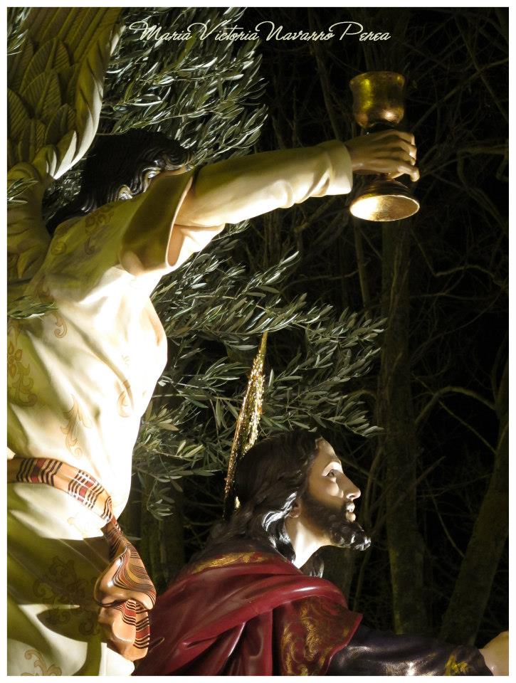 538750_465595976843125_330742553_n